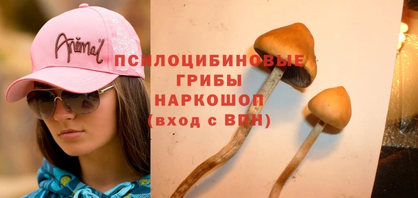 МДПВ Кинешма