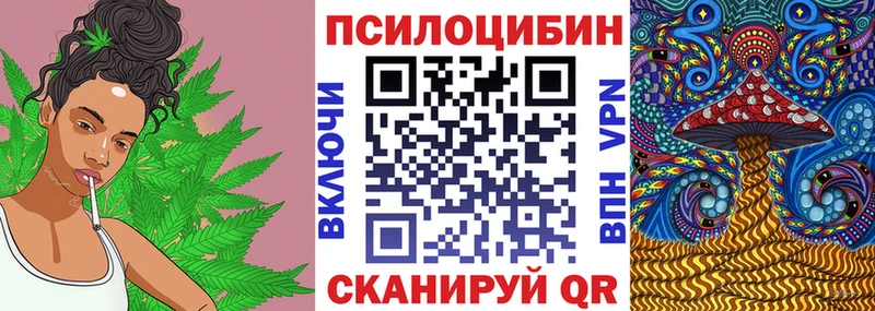 Купить где  Тимашёвск  Псилоцибиновые грибы Magic Shrooms 