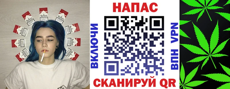 Купить где  Тимашёвск  Бошки марихуана THC 21% 